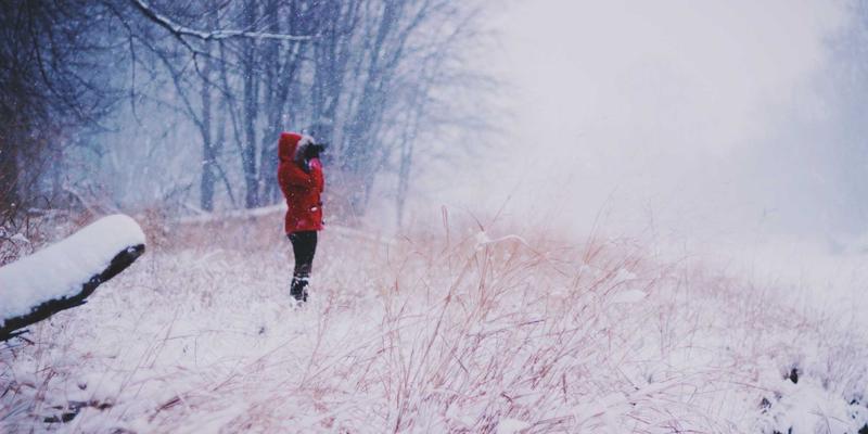 Traditional Japanese Crafts: Unveiling the Technical Secrets and Aesthetic Value of Metokutoku, Maki-e, and Wajima-nuri