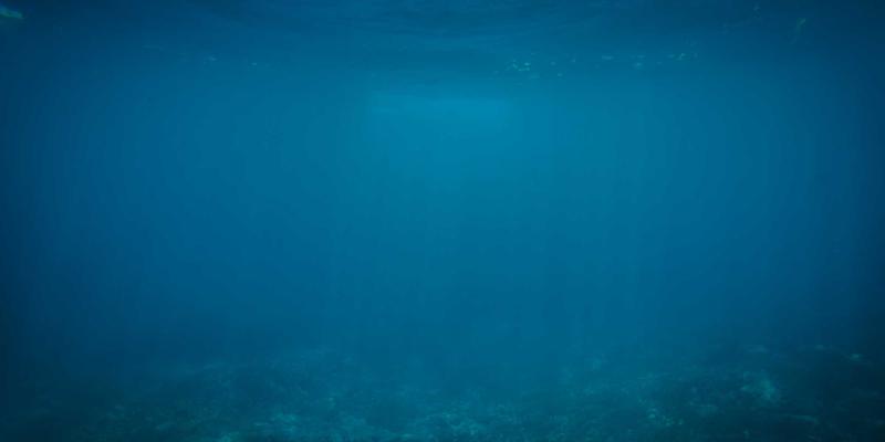 从东北三大祭看日本祭り的灵魂：木雕艺术与共同体意识的千年传承