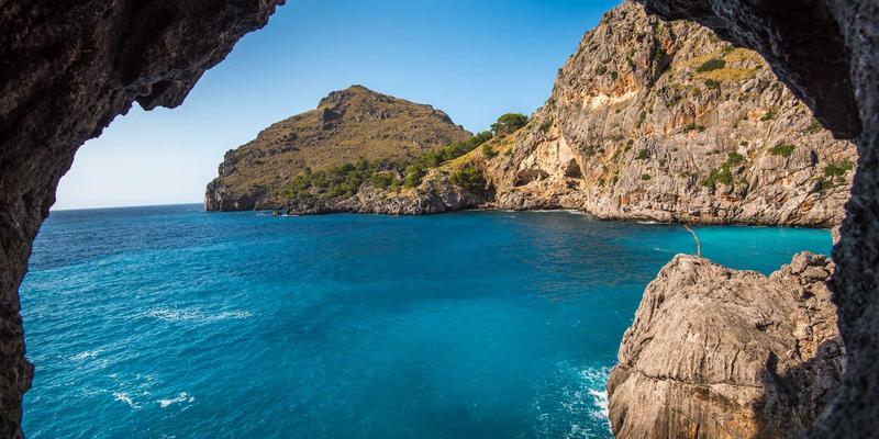 从千利休到现代茶室：日本茶道中的禅宗思想、待客之心与工艺之美