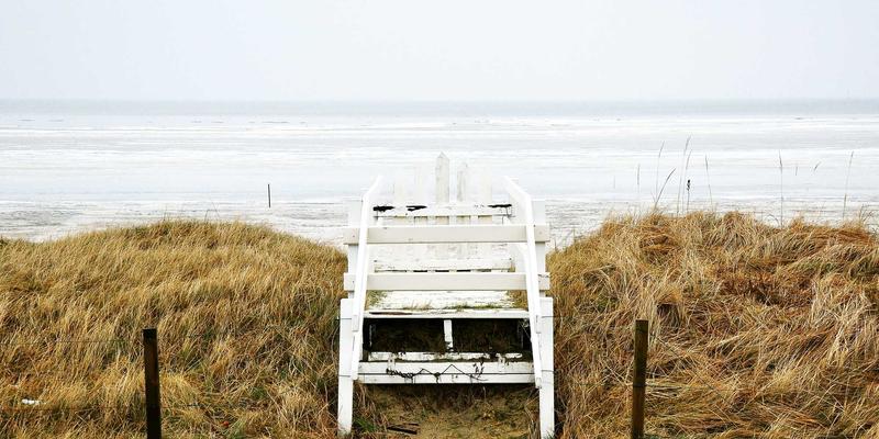 从川端康成到宫泽贤治：日本近代文学中的自然观与传统工艺的共鸣