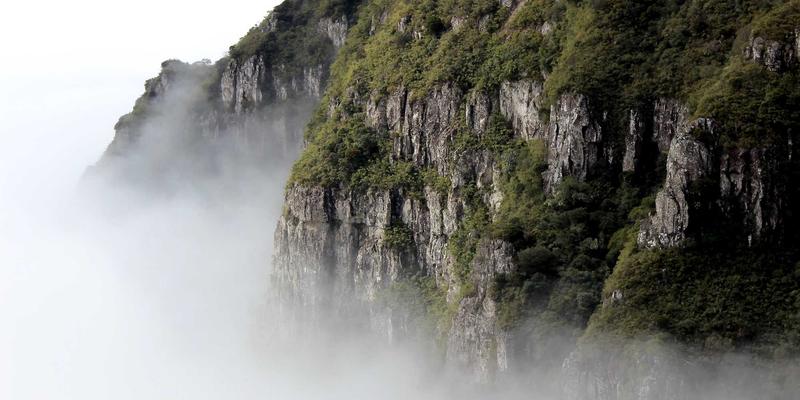 从枯山水到借景艺术：探寻日本庭院设计哲学与传统工艺的禅意共鸣