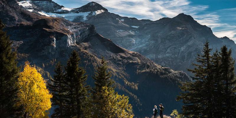 从《源氏物语》到《枕草子》：平安时代宫廷女性的文学世界与情感表达