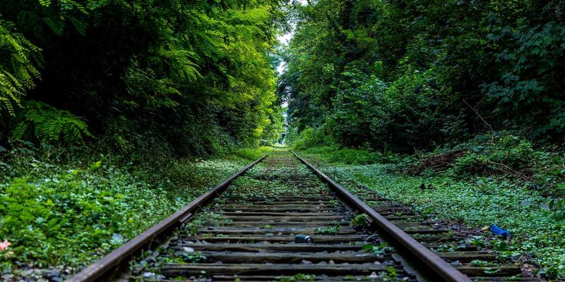 从《源氏物语》到《枕草子》：探寻平安贵族生活美学中的器物之美与日本工艺