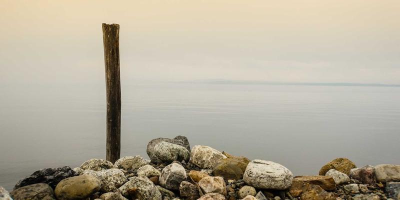 从餐桌到文化殿堂：和食的非遗之路与日本工艺的灵魂
