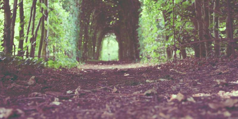 传统与现代的交织：日本西化进程中金工与漆器的存续之道