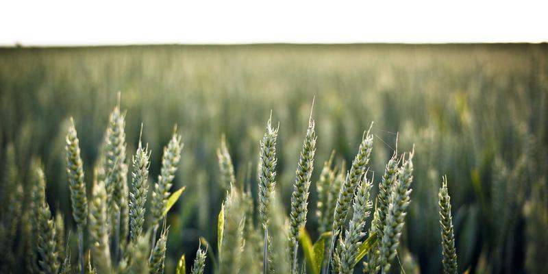 匠心与禅意:从日本染织与陶艺中探寻日本文化的精髓