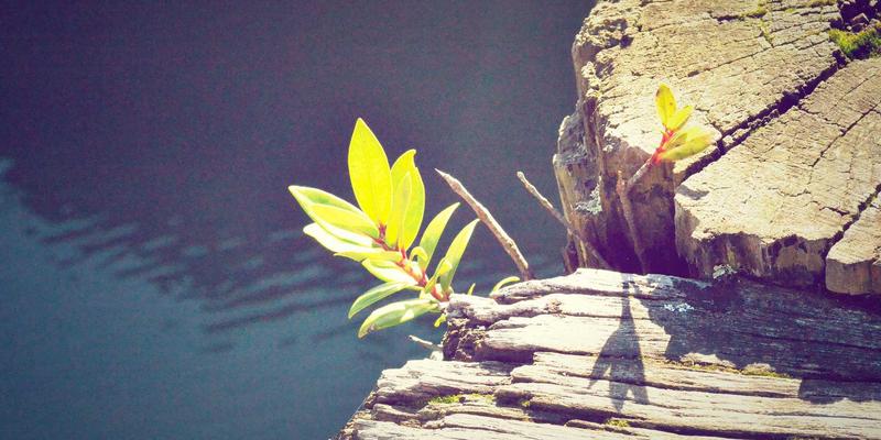 匠心与禅意：从木作与织物探寻日本文化的静寂之美