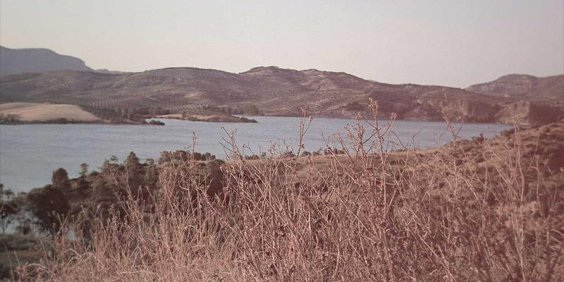 匠心与禅意：从木工技艺与Metokutoku精神探寻日本艺术的灵魂