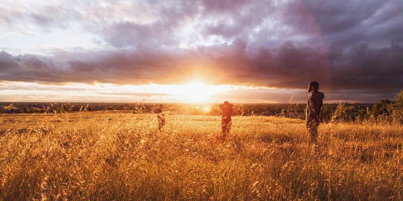 匠心与禅意：从木工道看日本文化的深层美学