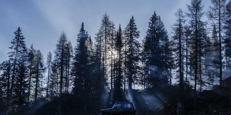 匠心与禅意：探索日本艺术、染织与陶艺的永恒之美