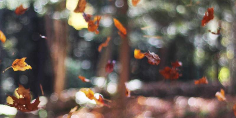 匠心与美学：探索日本艺术、织物与木工的深邃世界