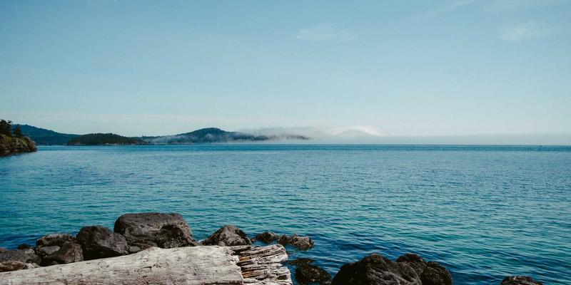 日本书道艺术：从汉字传入到假名书写的和风演变，与传统工艺的对话