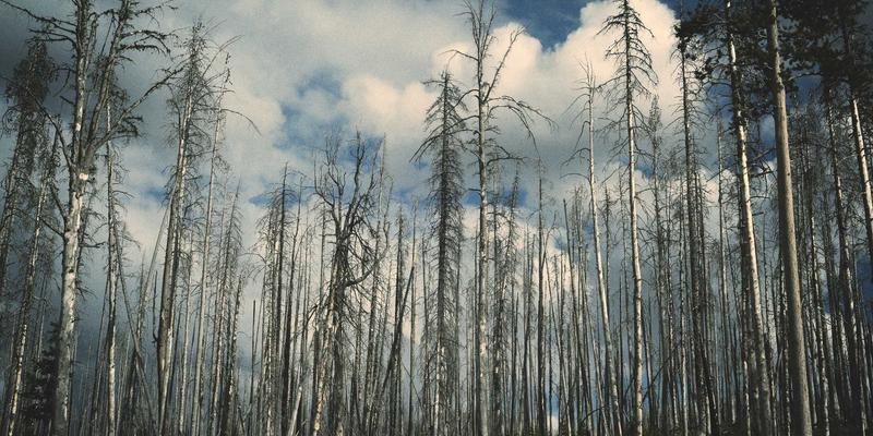 日本刀锻造：玉钢与折叠锻打的技术哲学