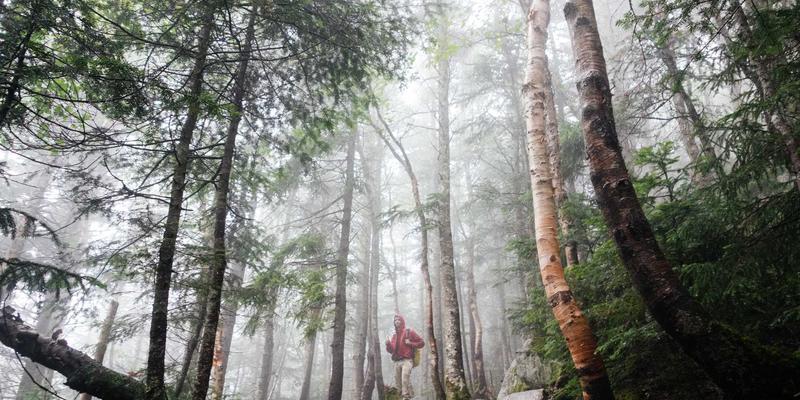 日本折纸艺术的数学性与美学：从仪式用纸到现代设计的文化密码