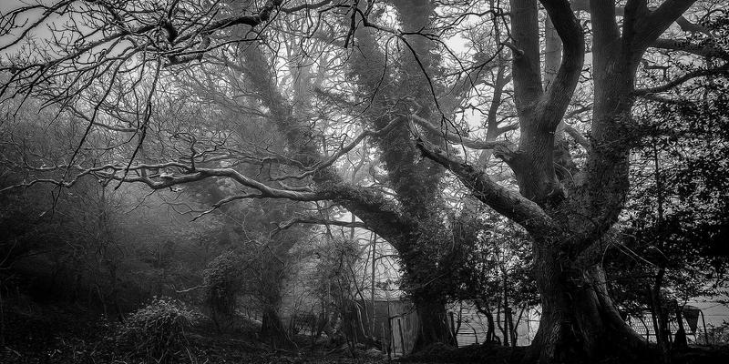 日本茶道中的空间哲学：从茶室建筑、庭园到露地，探寻侘寂世界观中的Metokutoku、织品与木工艺术
