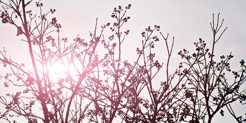 江户町人文化之美：从浮世绘歌舞伎到传统工艺Japanese pottery的都市美学